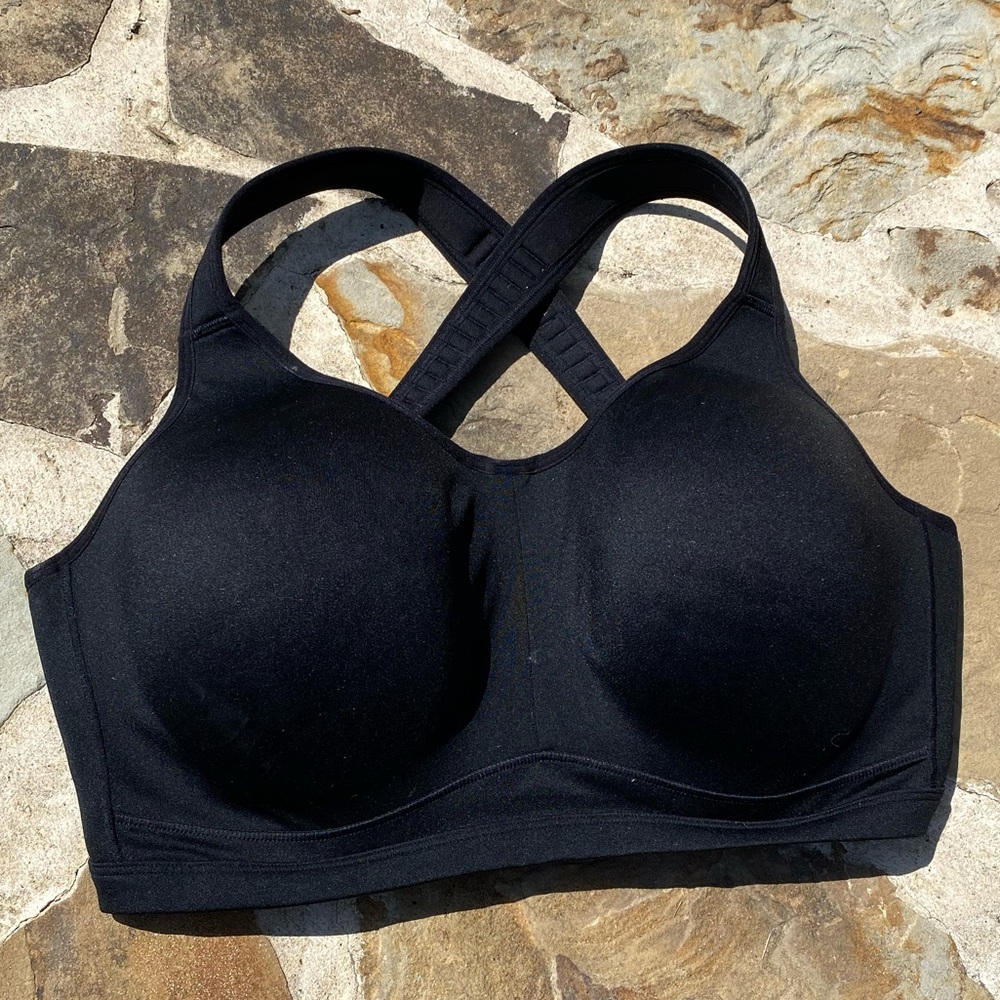 Livi Active sports bra (Lane Bryant)